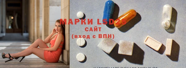 ECSTASY Алзамай
