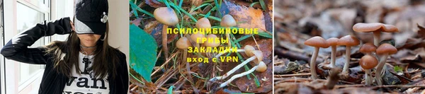 дживик Абдулино