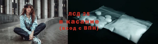 ECSTASY Алзамай