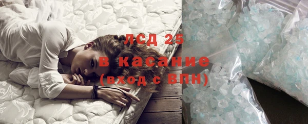 ECSTASY Алзамай