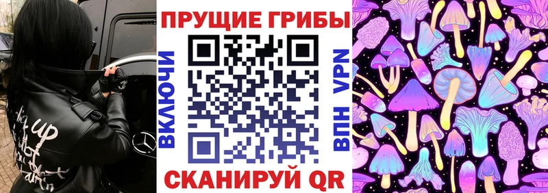 Галлюциногенные грибы Cubensis  Темрюк 